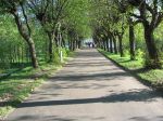 Файл: 15.jpg
Объем: 148КБ
Размеры: 800x600
Дата: Нояб 20, 2006 15.jpg
