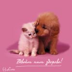 Файл: 150.jpg
Объем: 22КБ
Размеры: 310x310
Дата: Фев 09, 2007 150.jpg