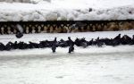 Файл: 463.jpg
Объем: 161КБ
Размеры: 1024x647
Дата: Сент 14, 2007 463.jpg